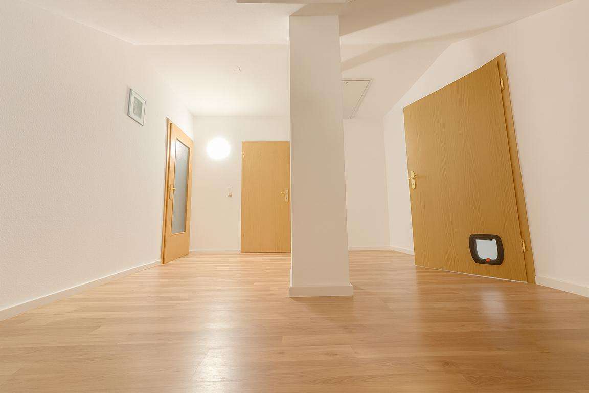 Empty, sunlit room with light wood flooring, white walls, a central column, and three wooden doors (one with a small cat flap).