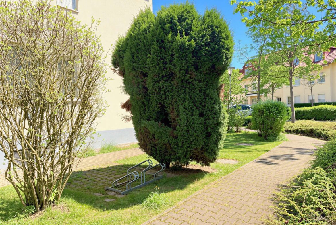 Grünanlage ums Haus