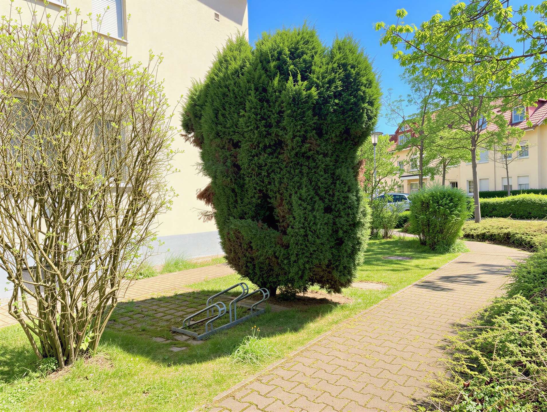Grünanlage ums Haus