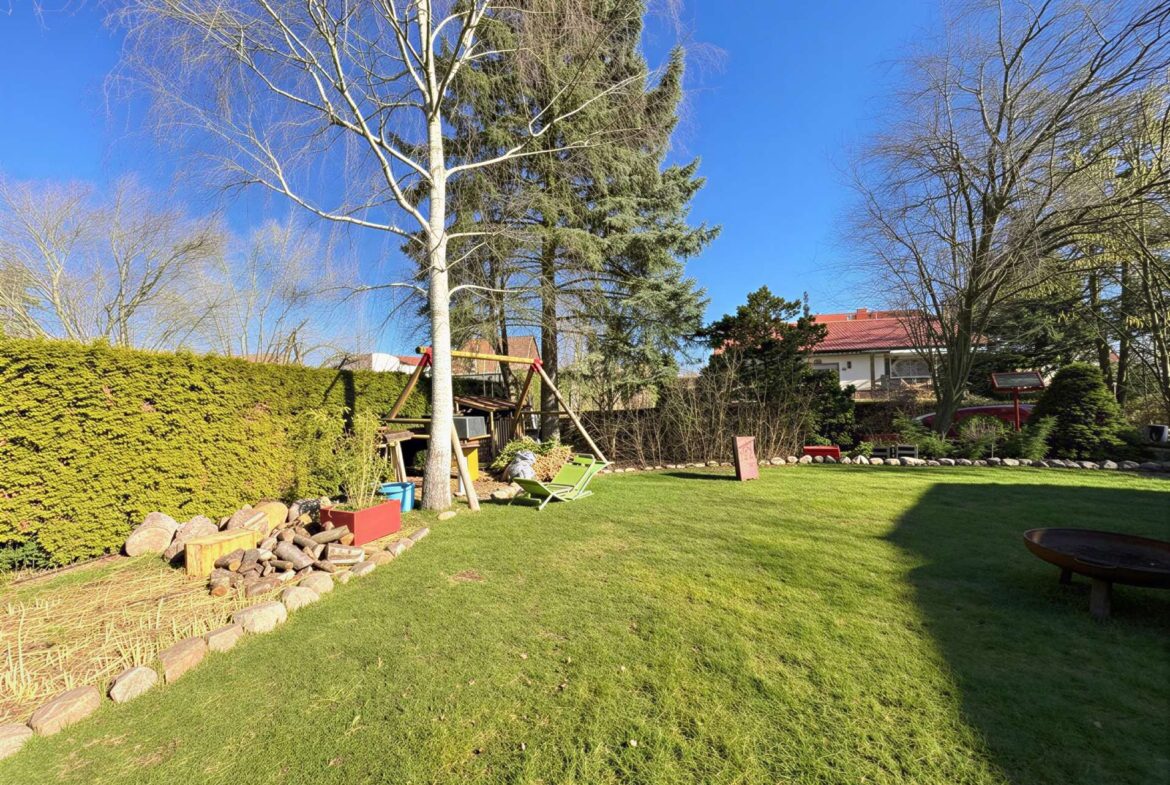 Sunny backyard with a manicured green lawn, leafless trees, and a tall evergreen; a wooden swing set sits near the hedge and stone borders.
