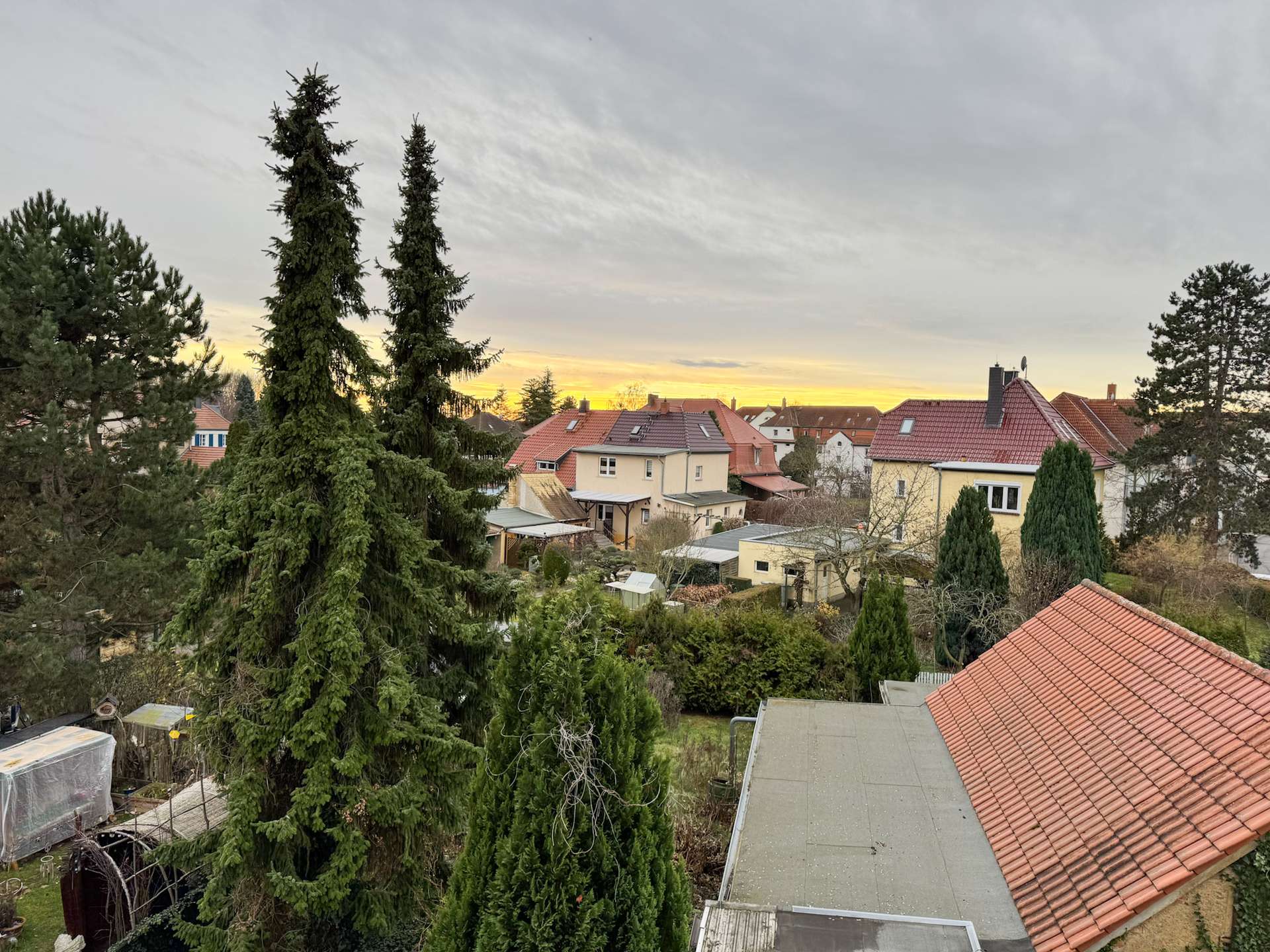 Residential neighborhood with red-tiled roofs and tall evergreen trees against a cloudy sky at sunset.
