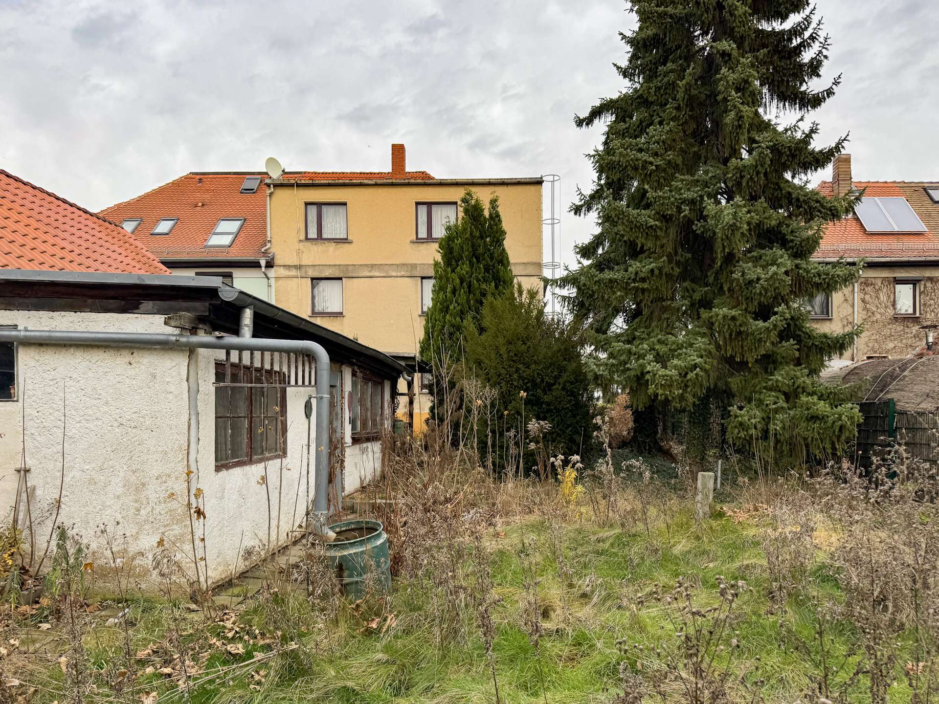 Backyard scene with a beige, two-story apartment building, orange tiled roofs, a satellite dish, and a large evergreen tree amid overgrown grass and weeds in the foreground.