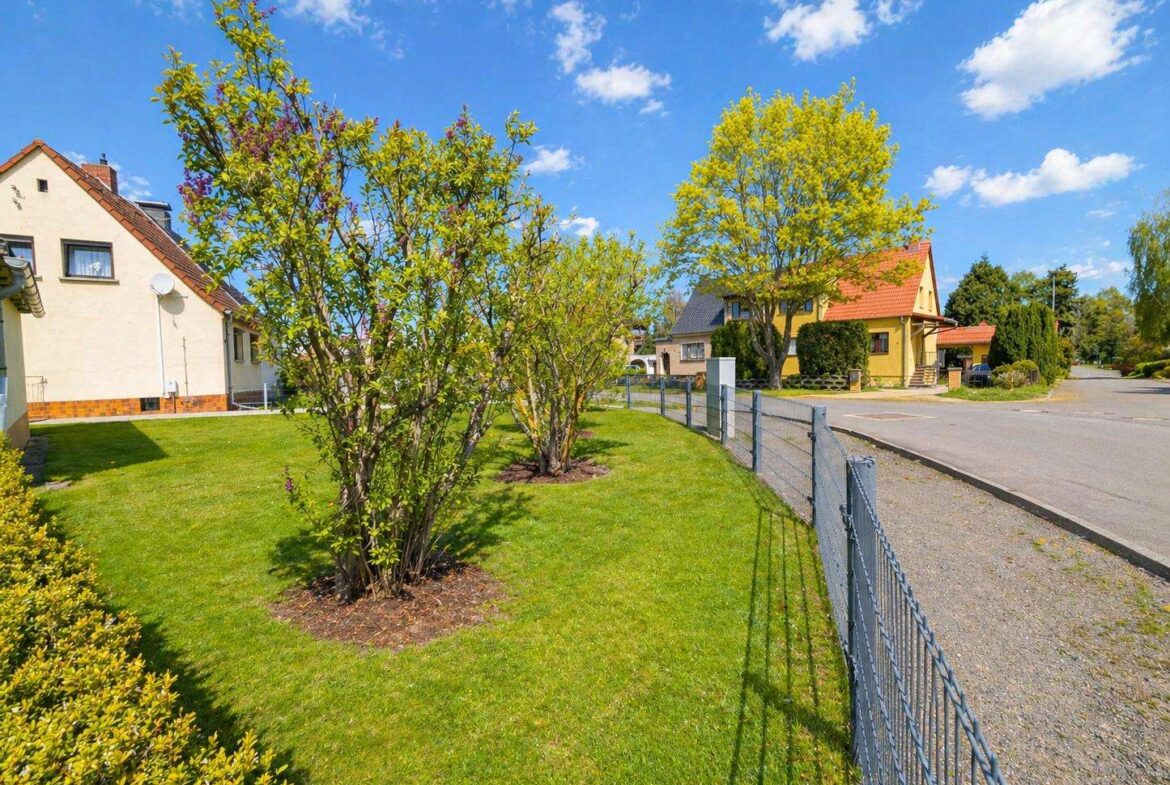 Suburban front yard with two small trees, a green lawn, and a metal fence along a quiet street under a bright blue sky.