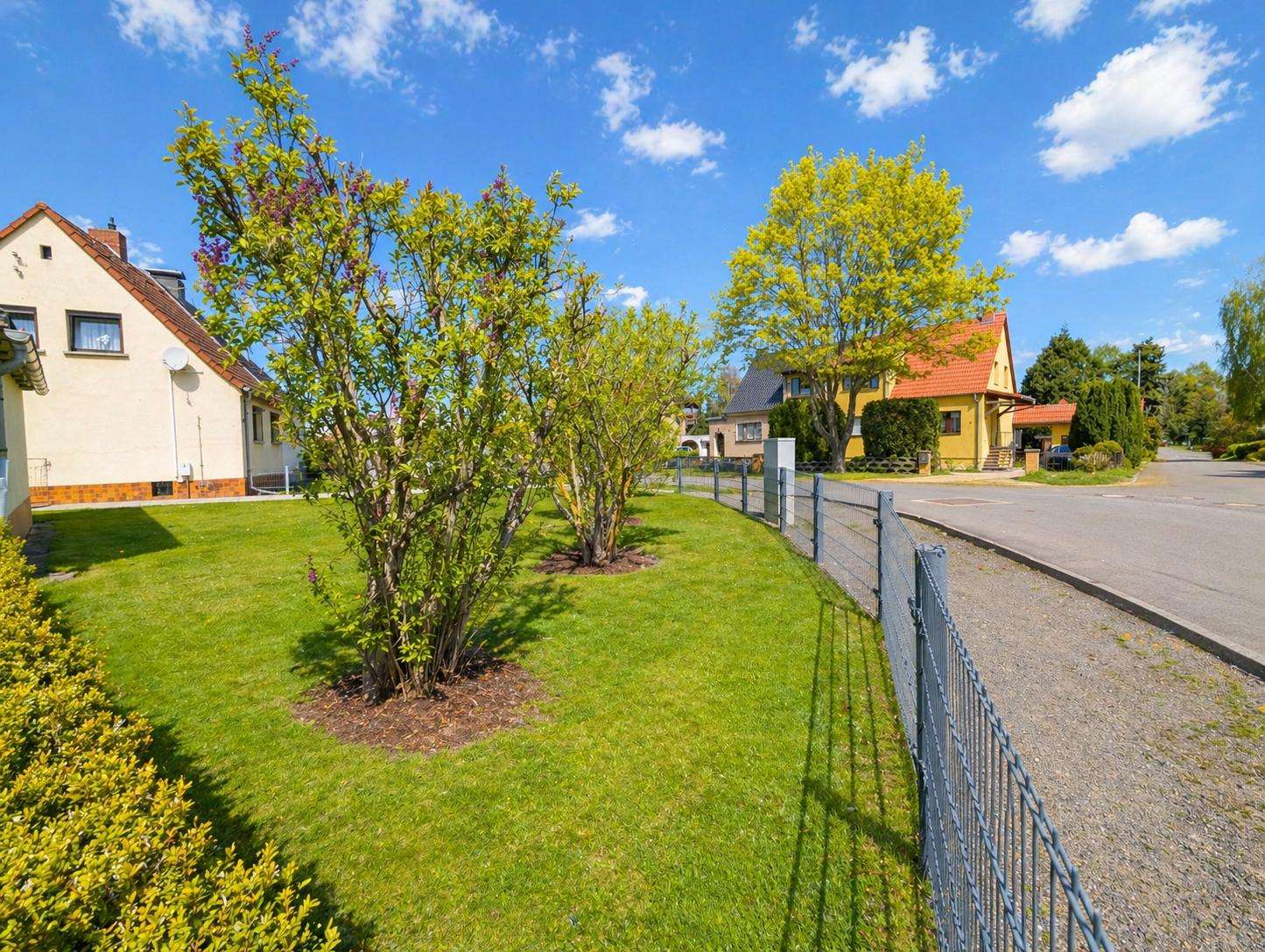 Suburban front yard with two small trees, a green lawn, and a metal fence along a quiet street under a bright blue sky.