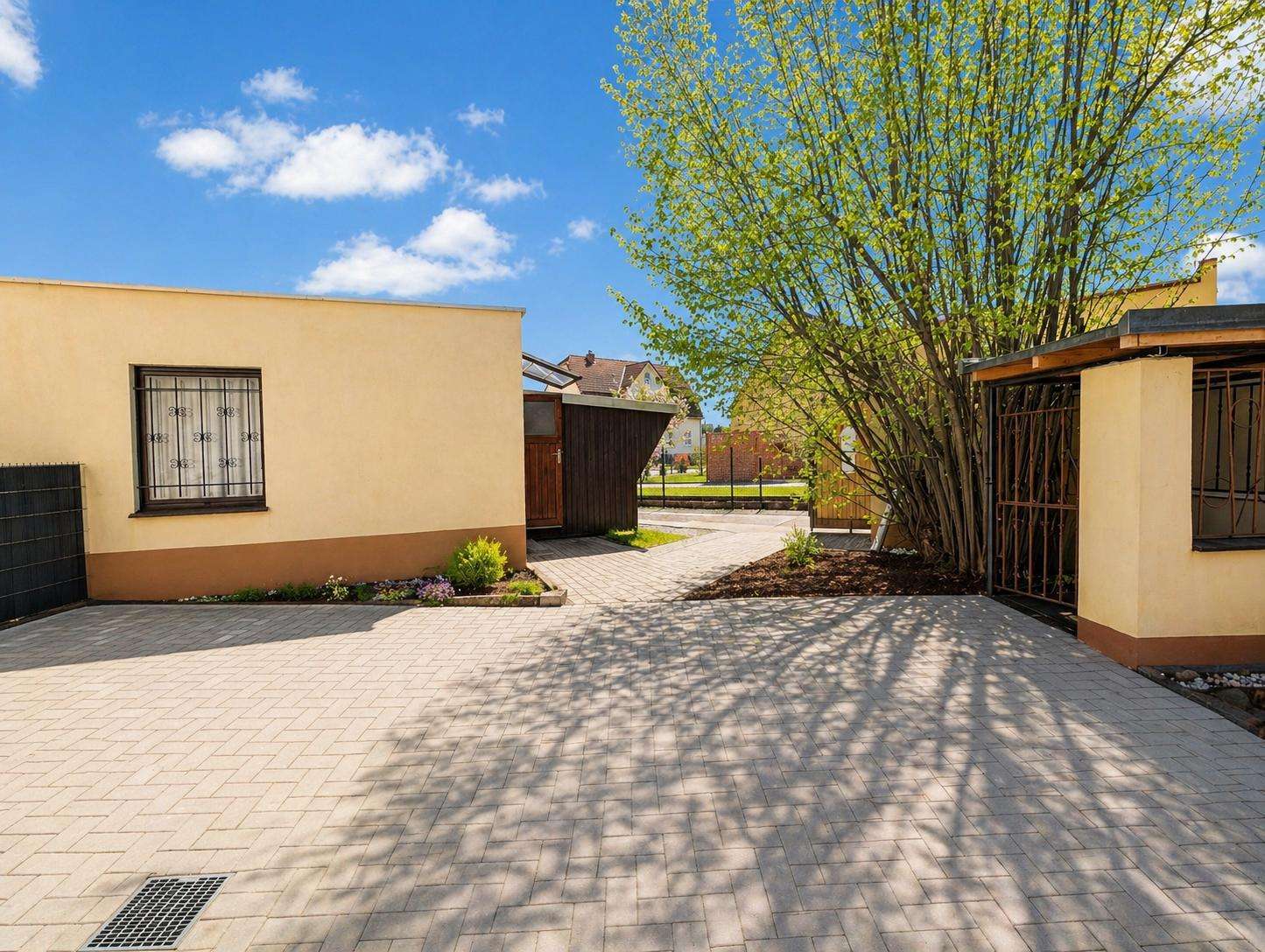 Sunny courtyard between beige houses with a paved driveway and a large tree casting shadows