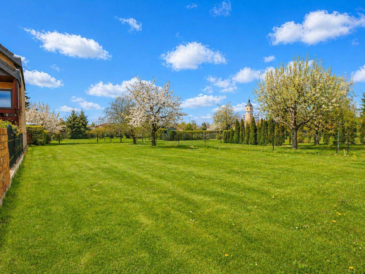 Wide backyard with blossoming trees, a neatly mowed lawn, and a distant church tower under a bright blue sky.