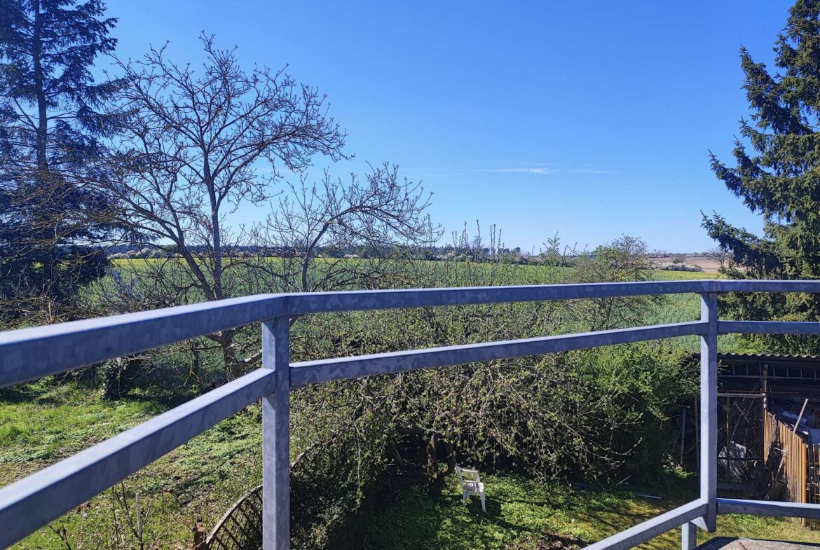 View from a balcony: bare tree branches in the foreground, green fields in the distance under a bright blue sky. With metal railing visible at the bottom edge.