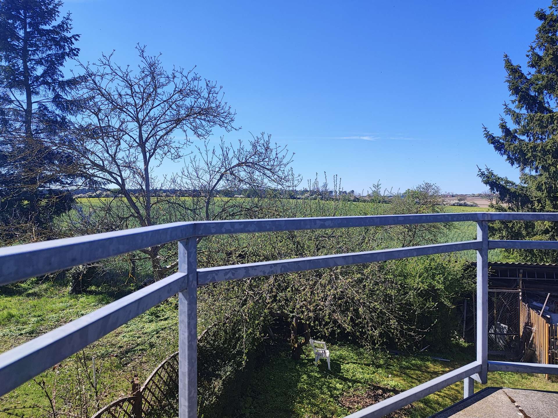 View from a balcony: bare tree branches in the foreground, green fields in the distance under a bright blue sky. With metal railing visible at the bottom edge.