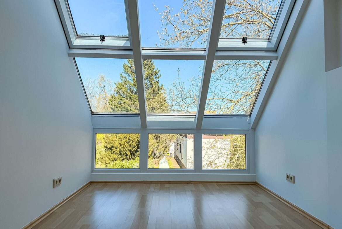 Empty room with a large glass skylight ceiling showing blue sky and tree branches outside.