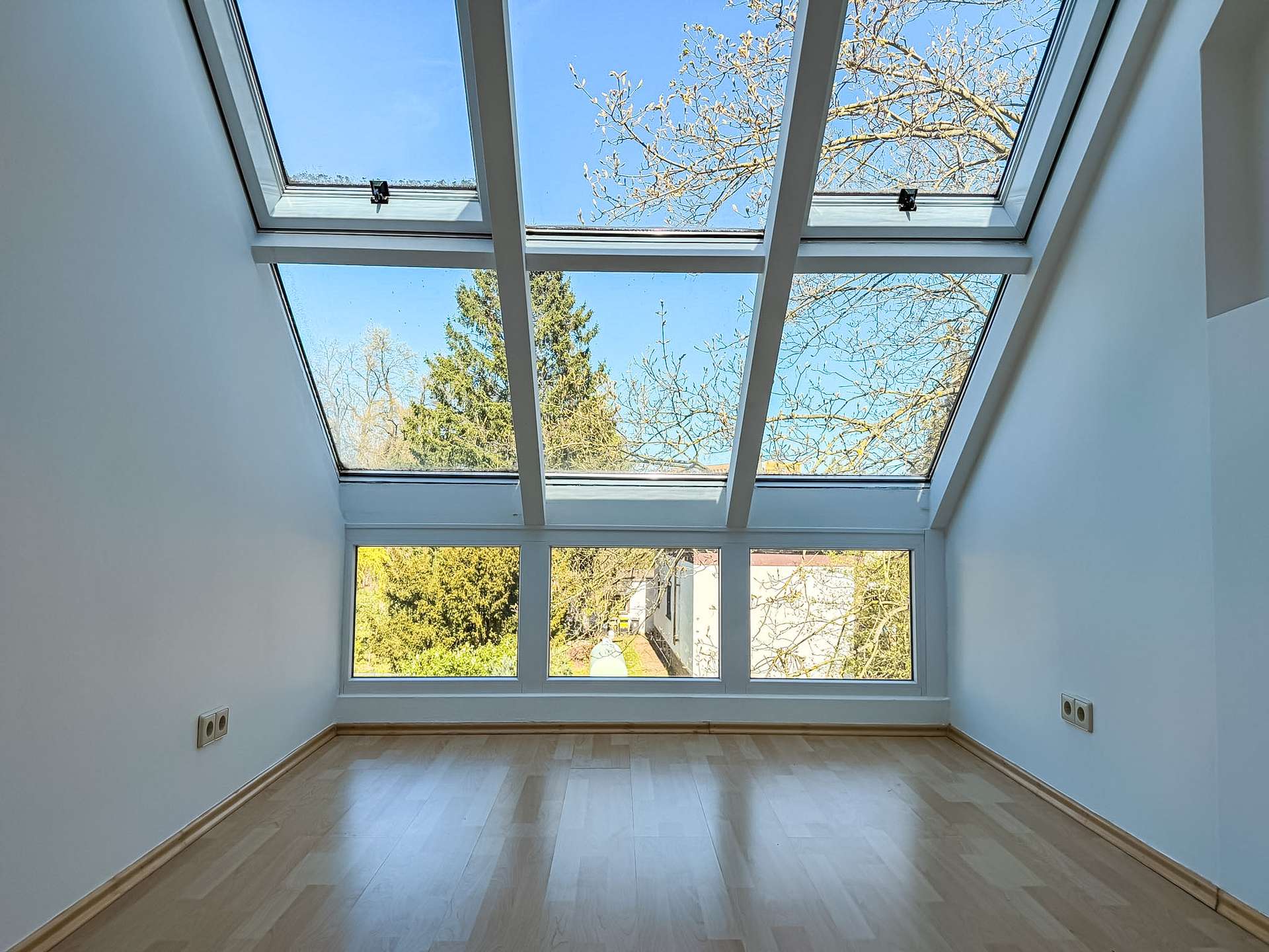Empty room with a large glass skylight ceiling showing blue sky and tree branches outside.