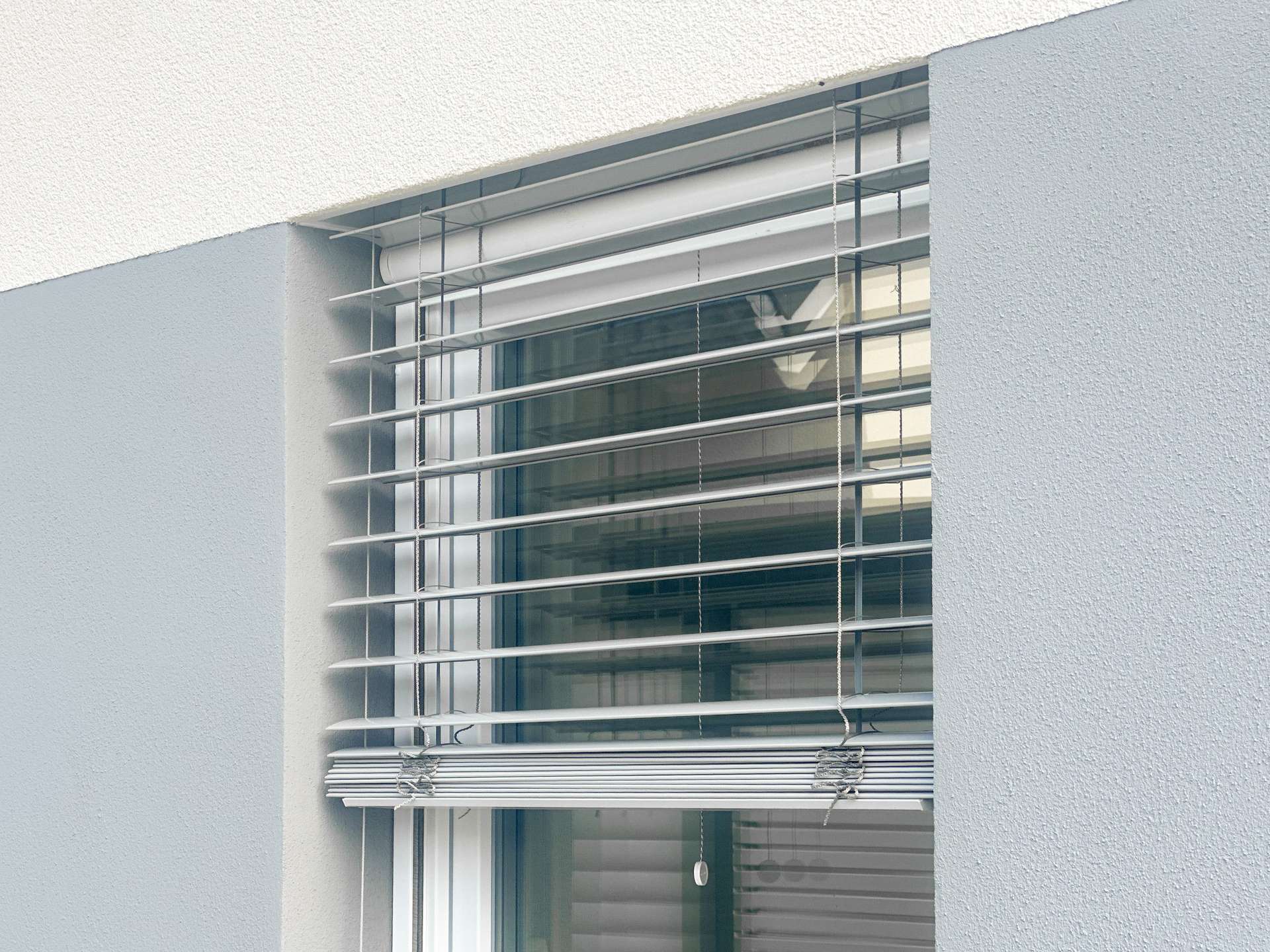 Fenster