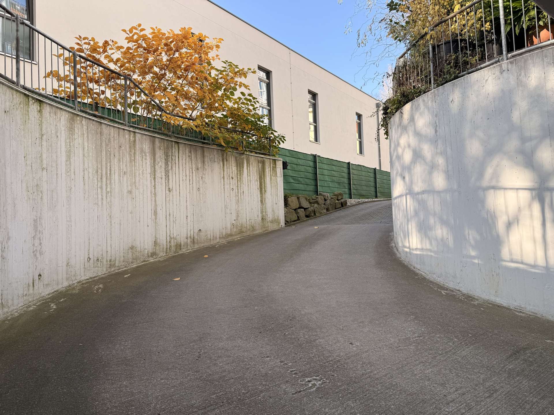 Curved concrete alley with a metal railing, autumn tree with yellow leaves overhanging the wall, and a blue sky above.