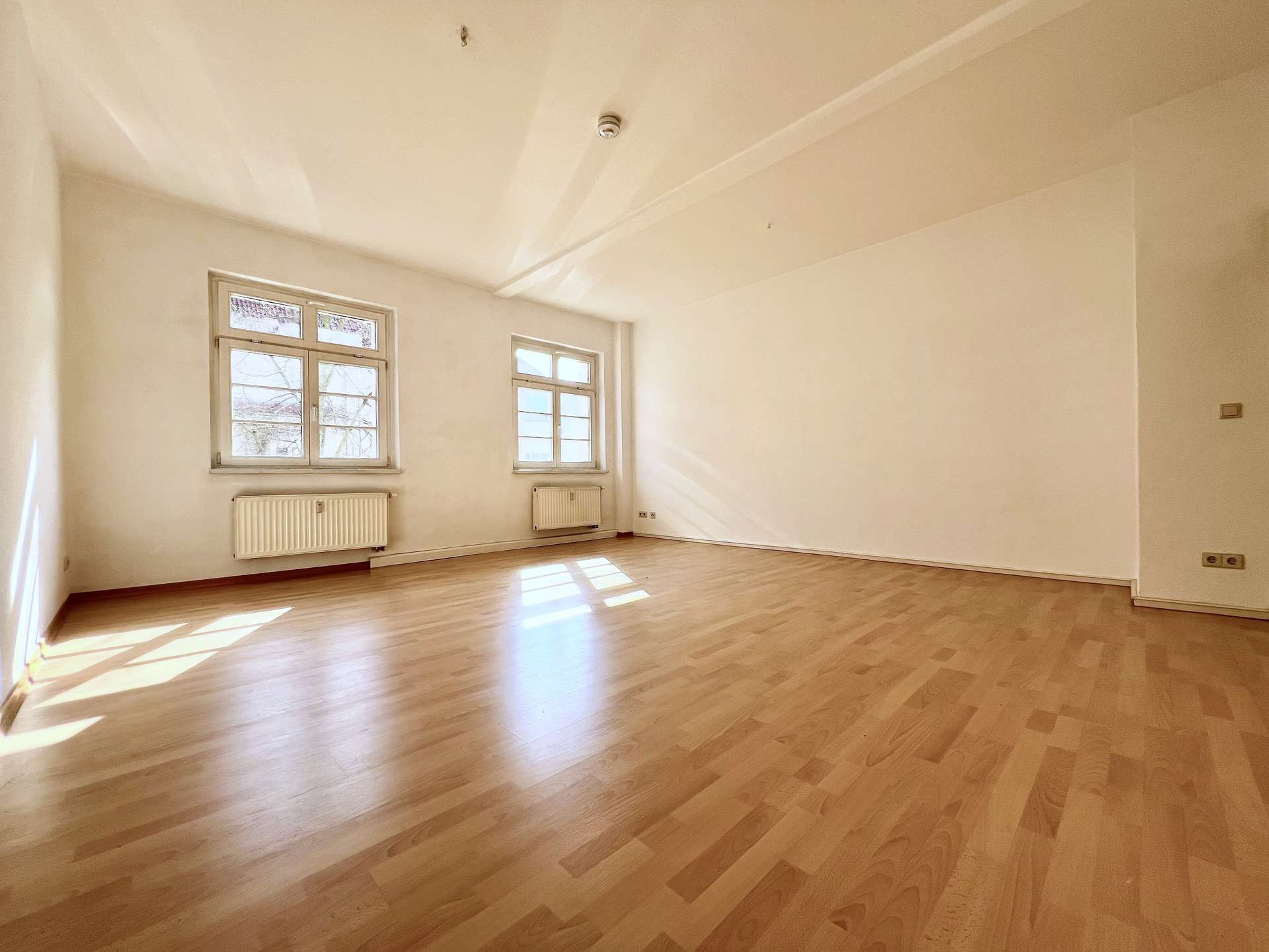 Sunlit empty room with light wood floor, two large windows, and radiators beneath them.