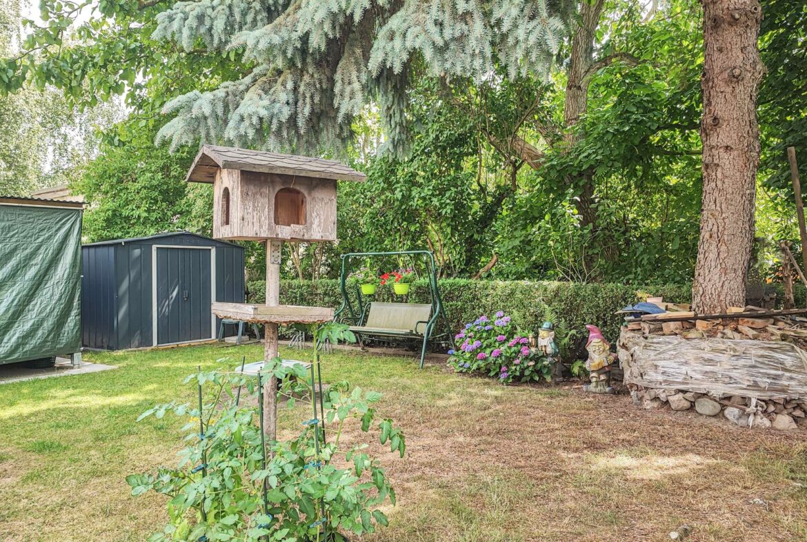 Wooden birdhouse on a post in a sunny backyard, with a swing bench, shed, and a pile of firewood nearby.