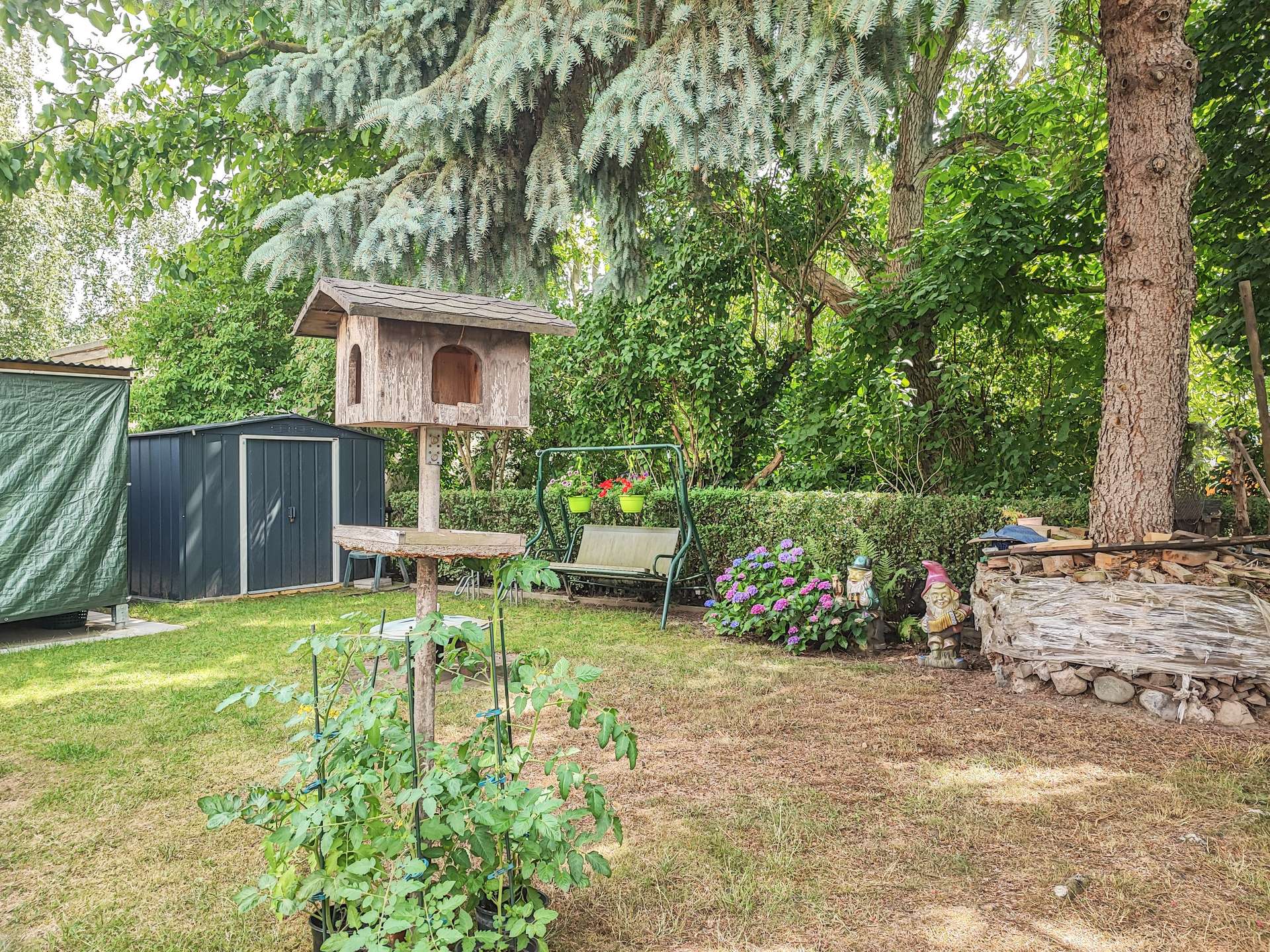 Wooden birdhouse on a post in a sunny backyard, with a swing bench, shed, and a pile of firewood nearby.