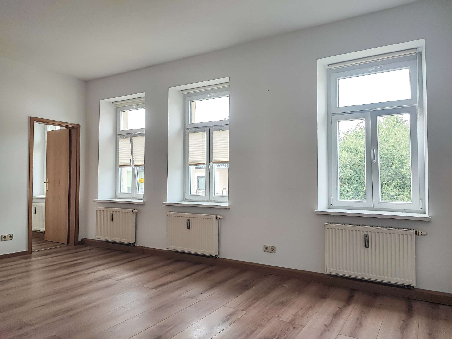 Empty room with light wood floors, three large vertical windows with blinds and radiators beneath, and an open wooden door on the left.