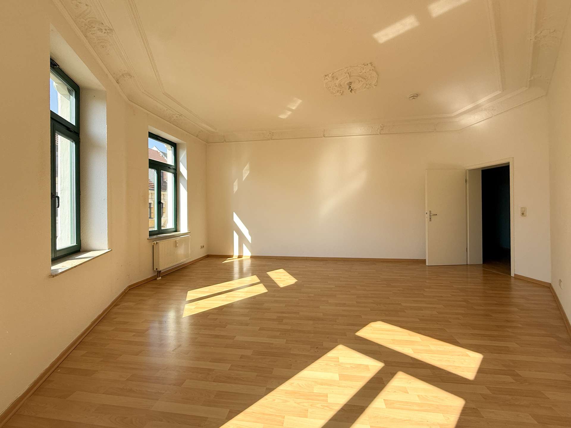 Sunlit empty room with a wooden floor, large green-framed windows, radiator, and an ornate ceiling moldings.