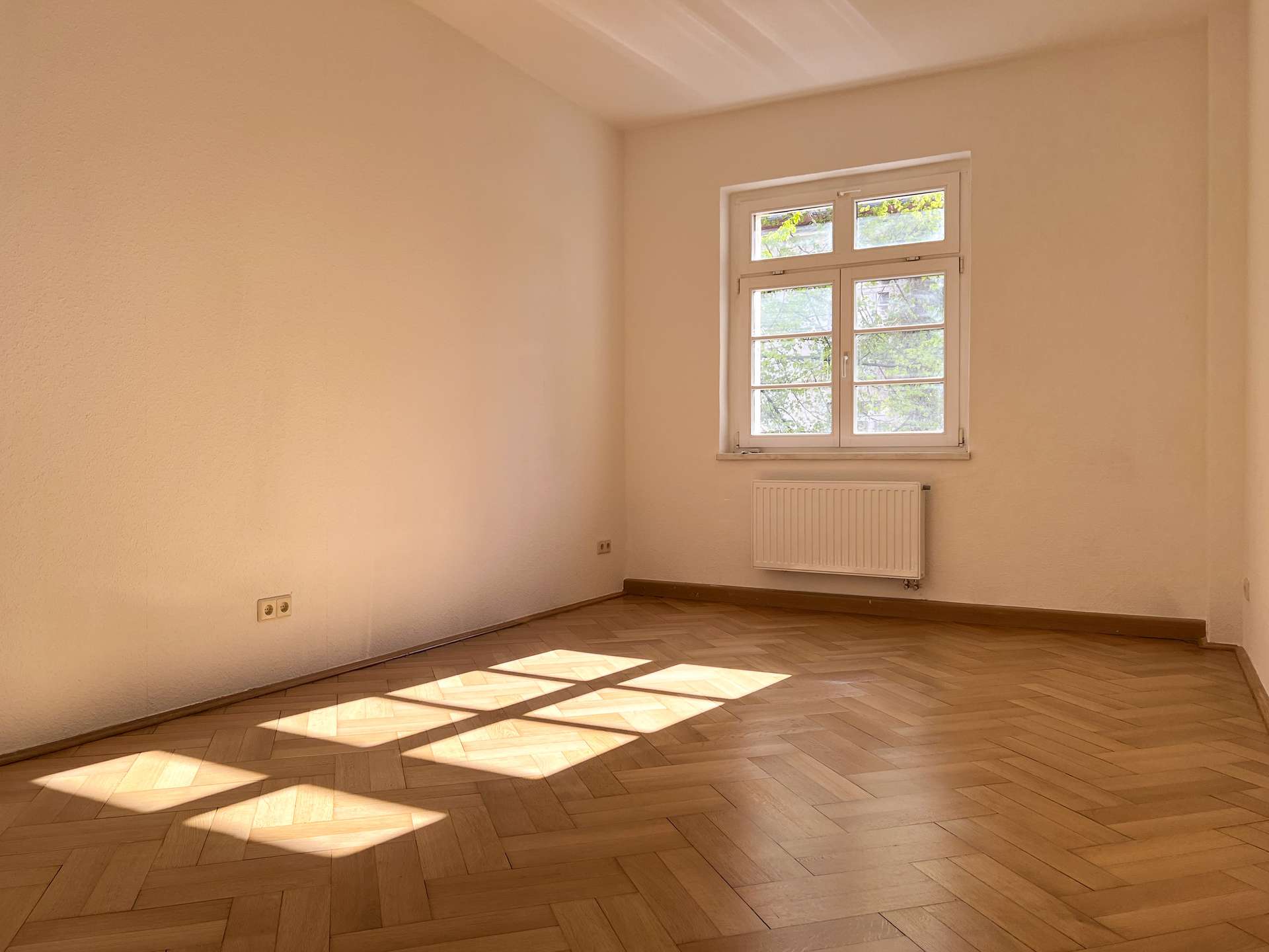 Blick ins Grüne