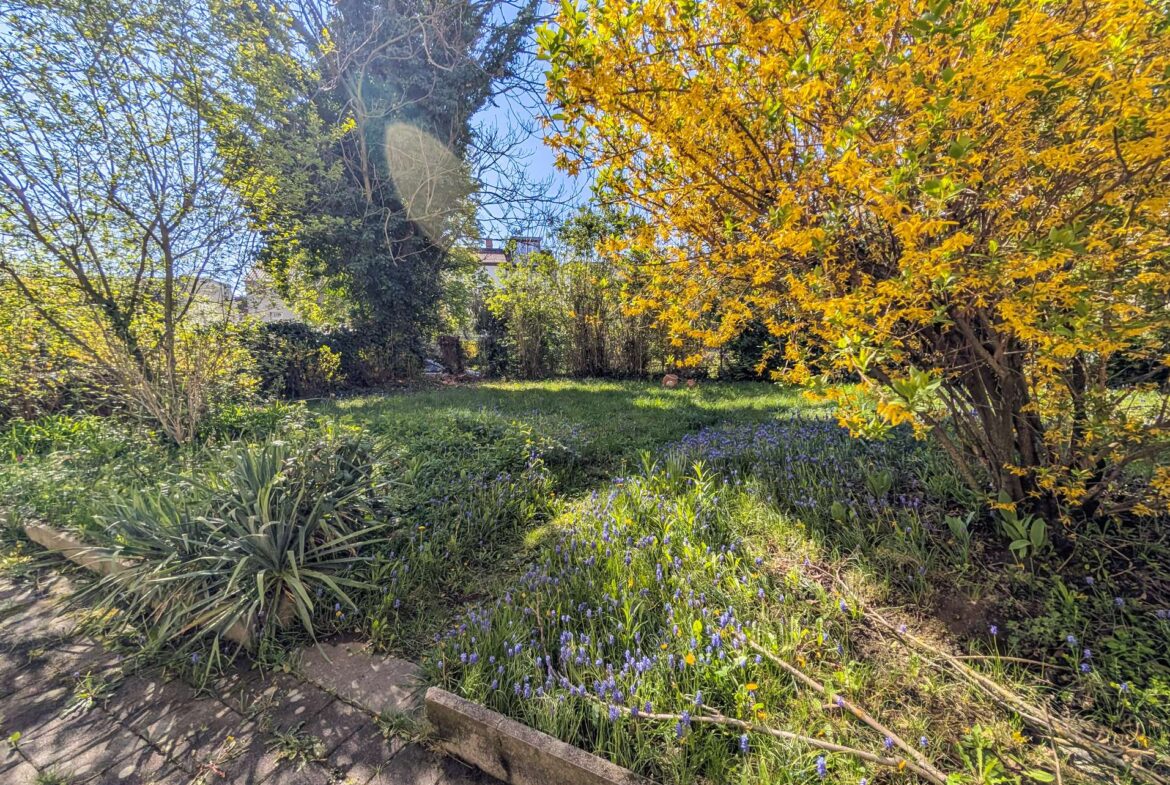 Garten hinter dem Haus