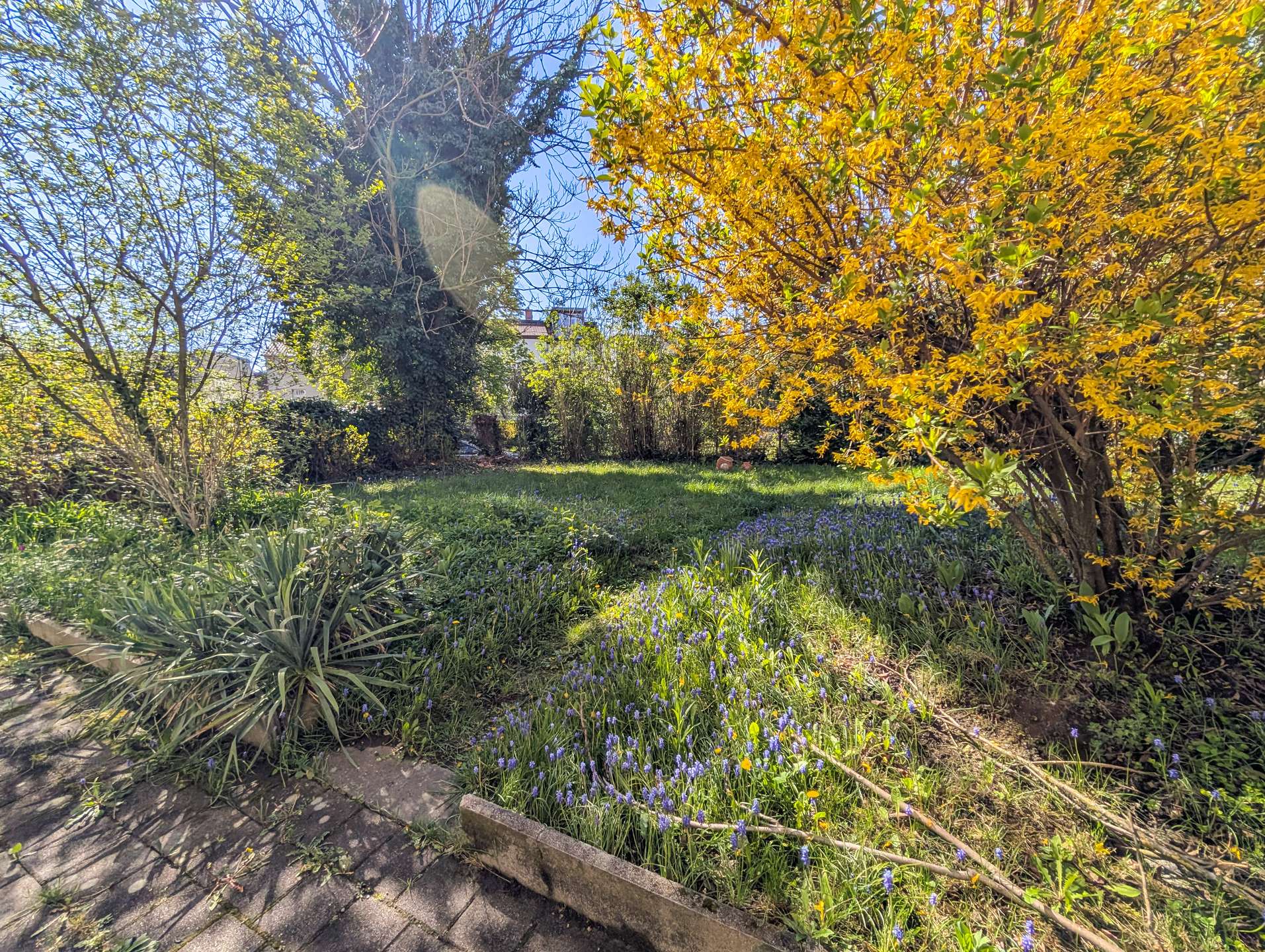 Garten hinter dem Haus