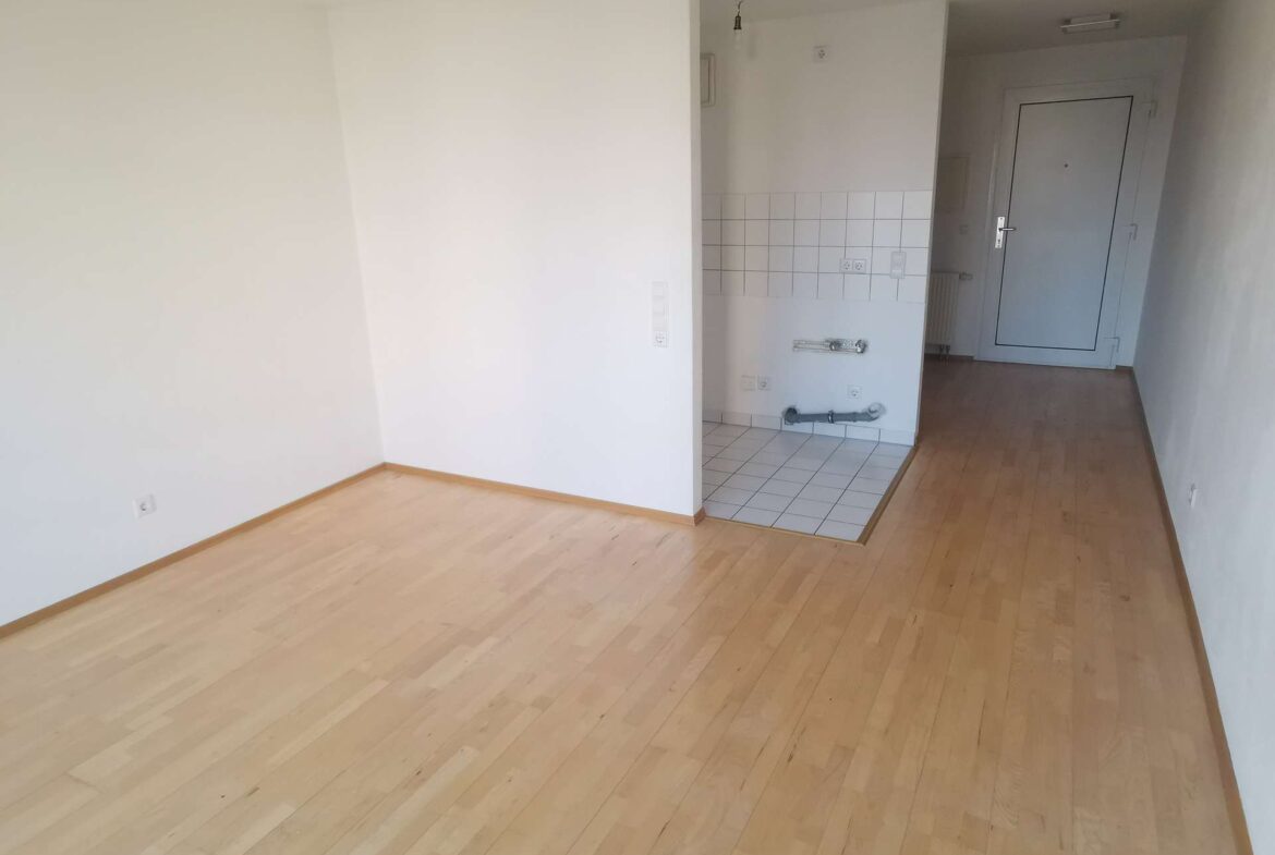 Wohnbereich mit Kochnische