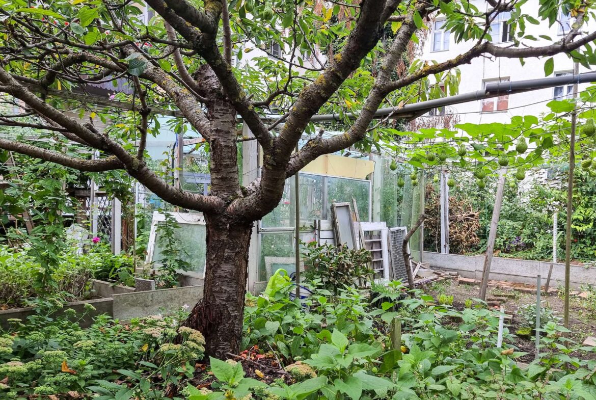 Garten 