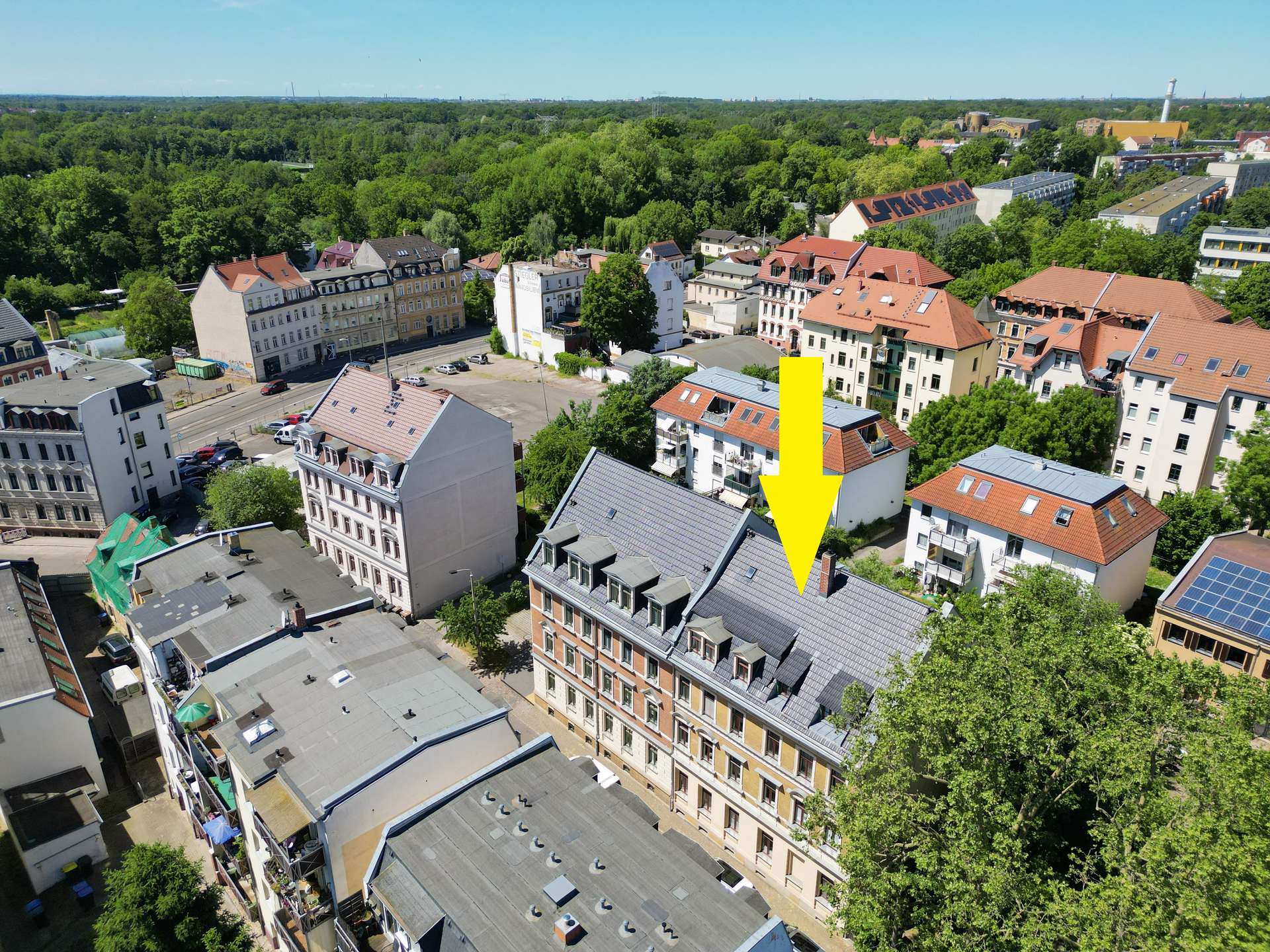 Rundum grün