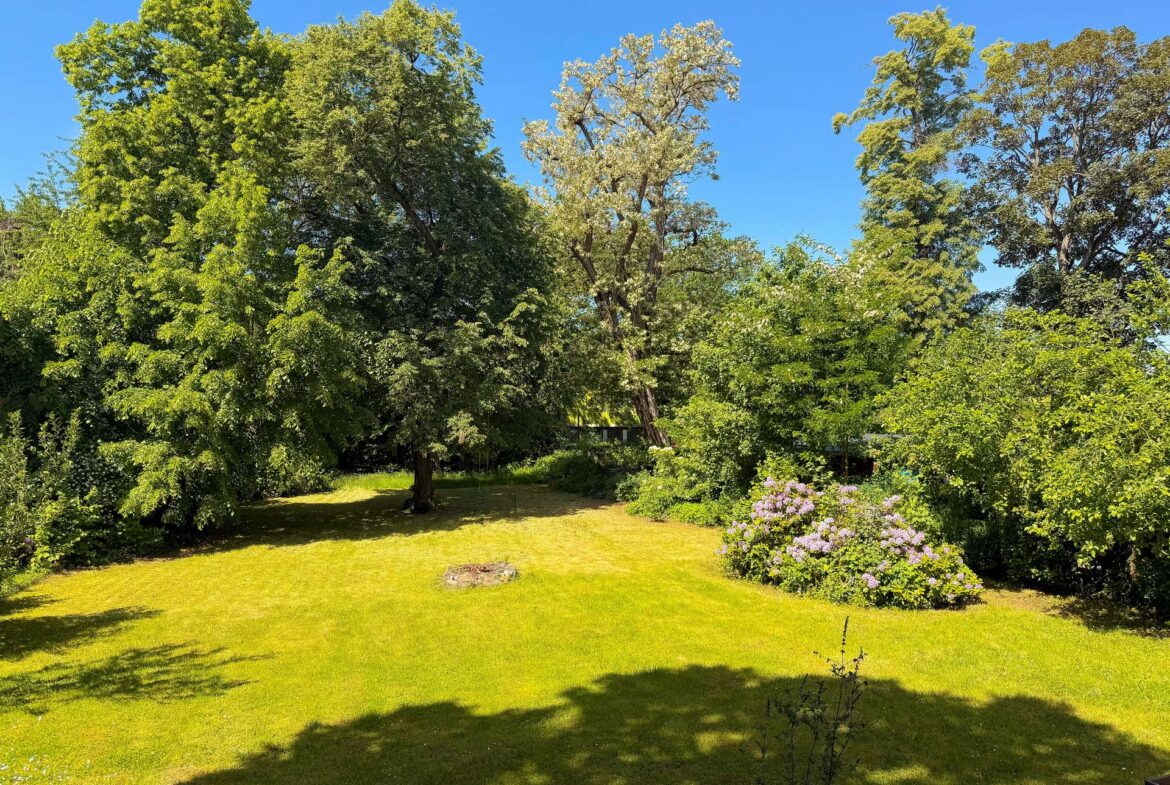 Blick in den Garten