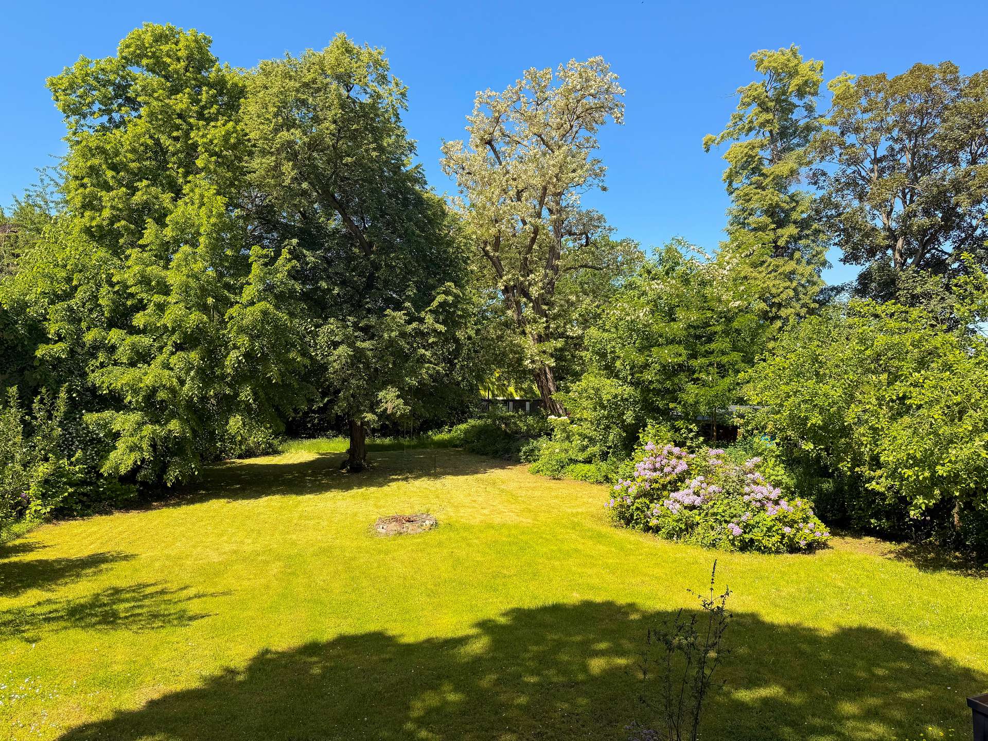Blick in den Garten