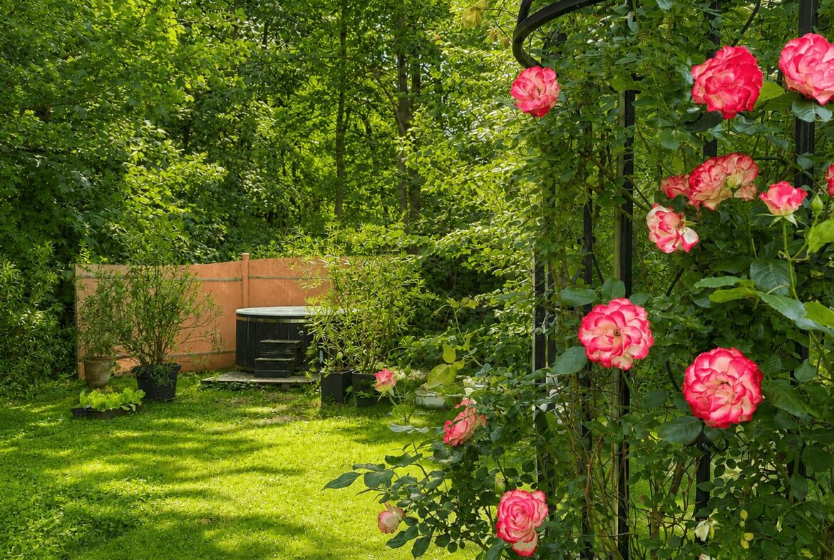 Blühende Rosen im Gartenparadies