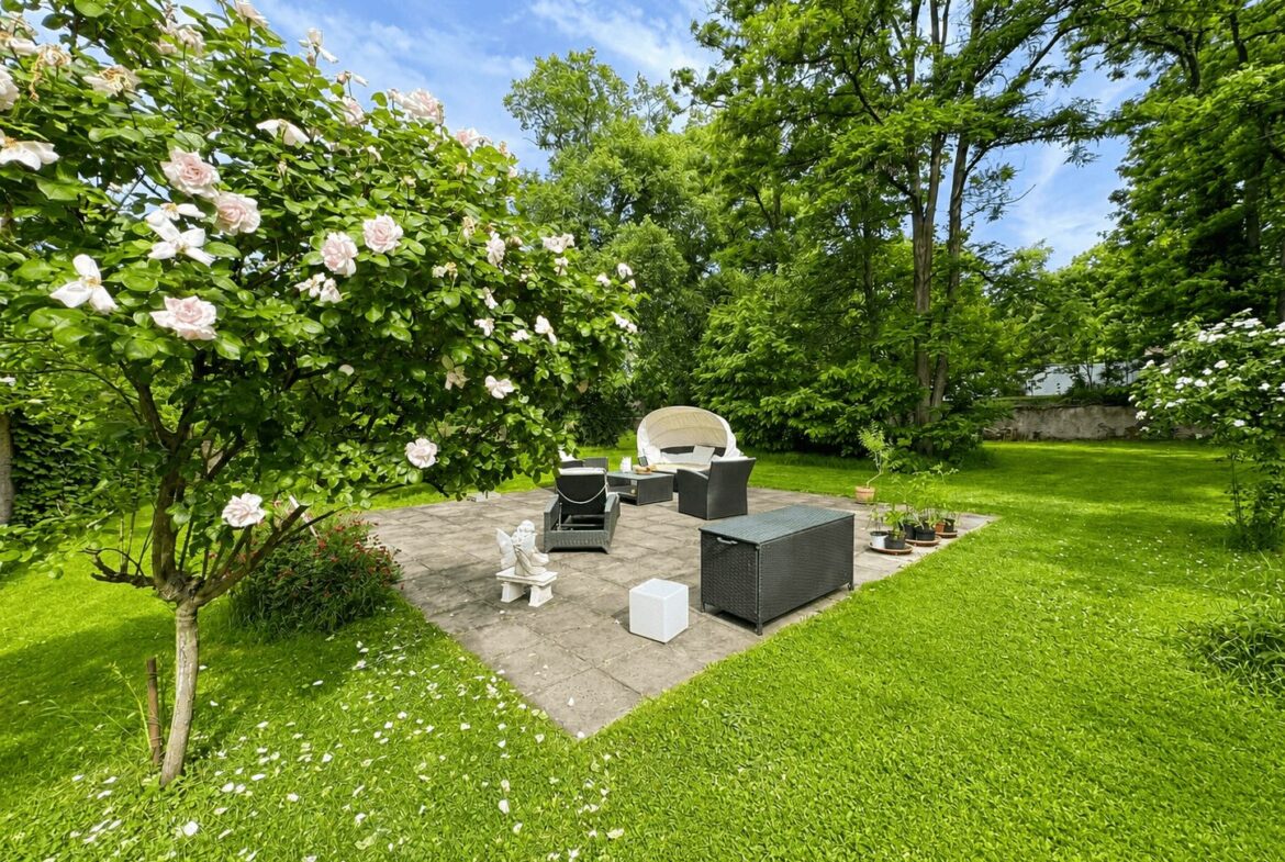 Sonniger Gartenpatio mit blühenden Rosen