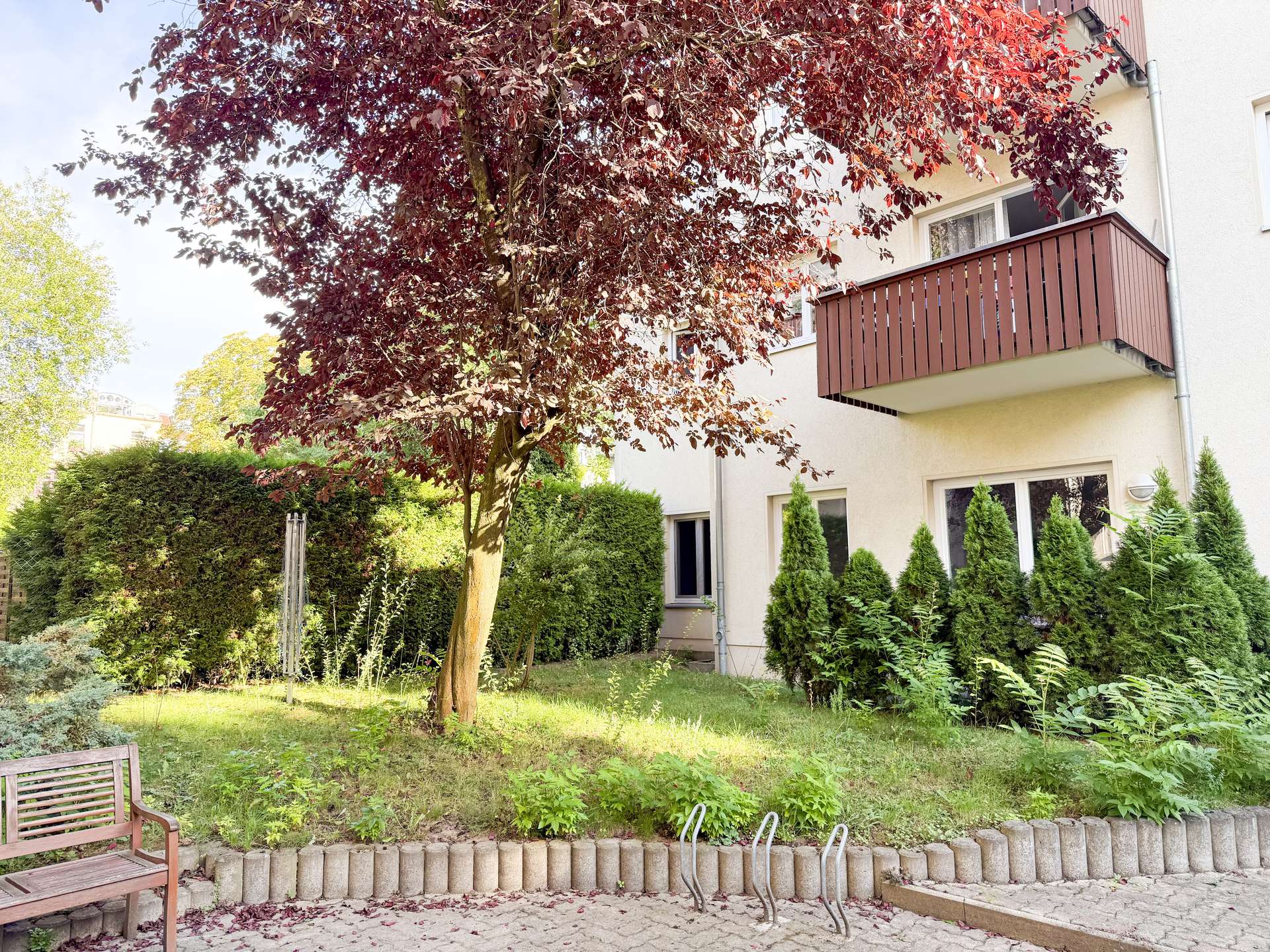 Apartment building courtyard with a large tree with burgundy leaves, a wooden bench, and a low stone border by the path