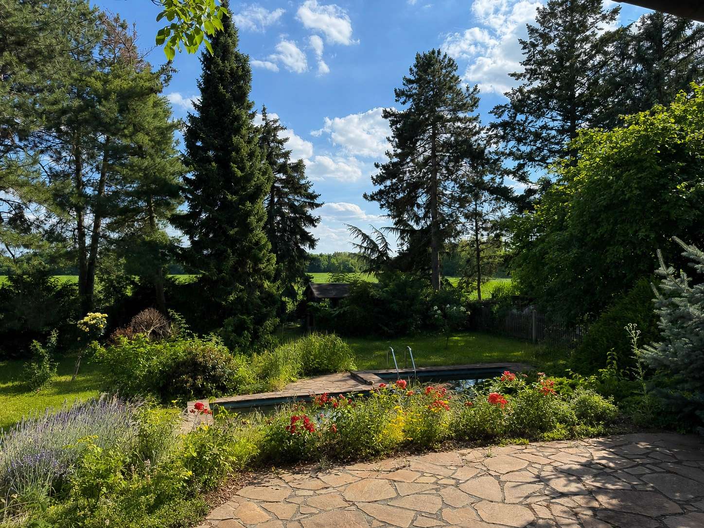 idyllischer Gartenblick