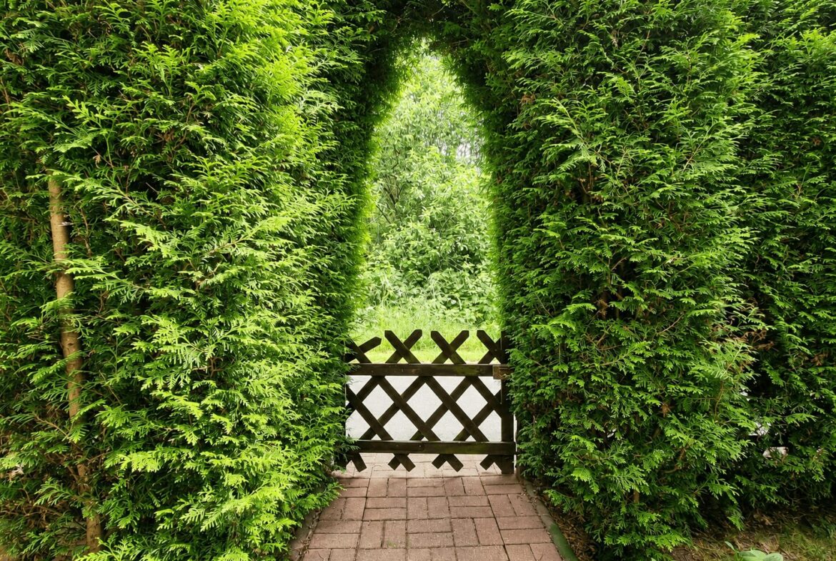 Garten