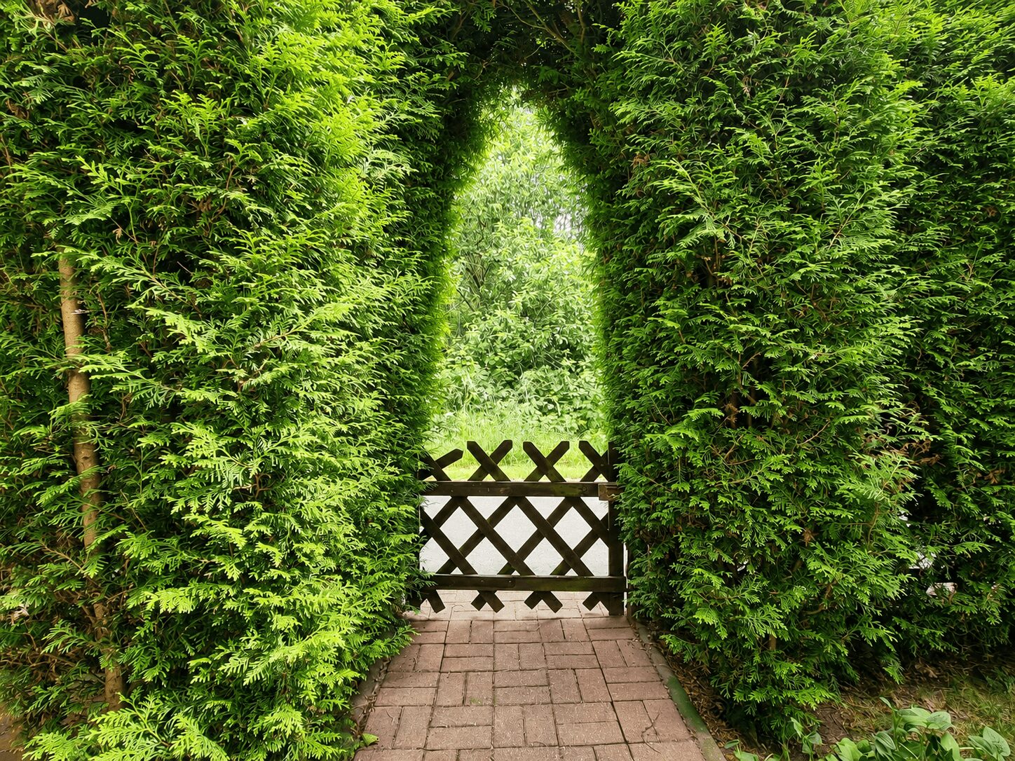 Garten