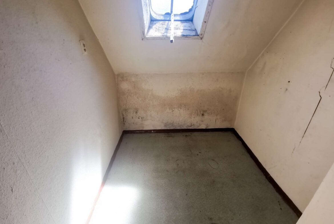 Kammer/Büro
