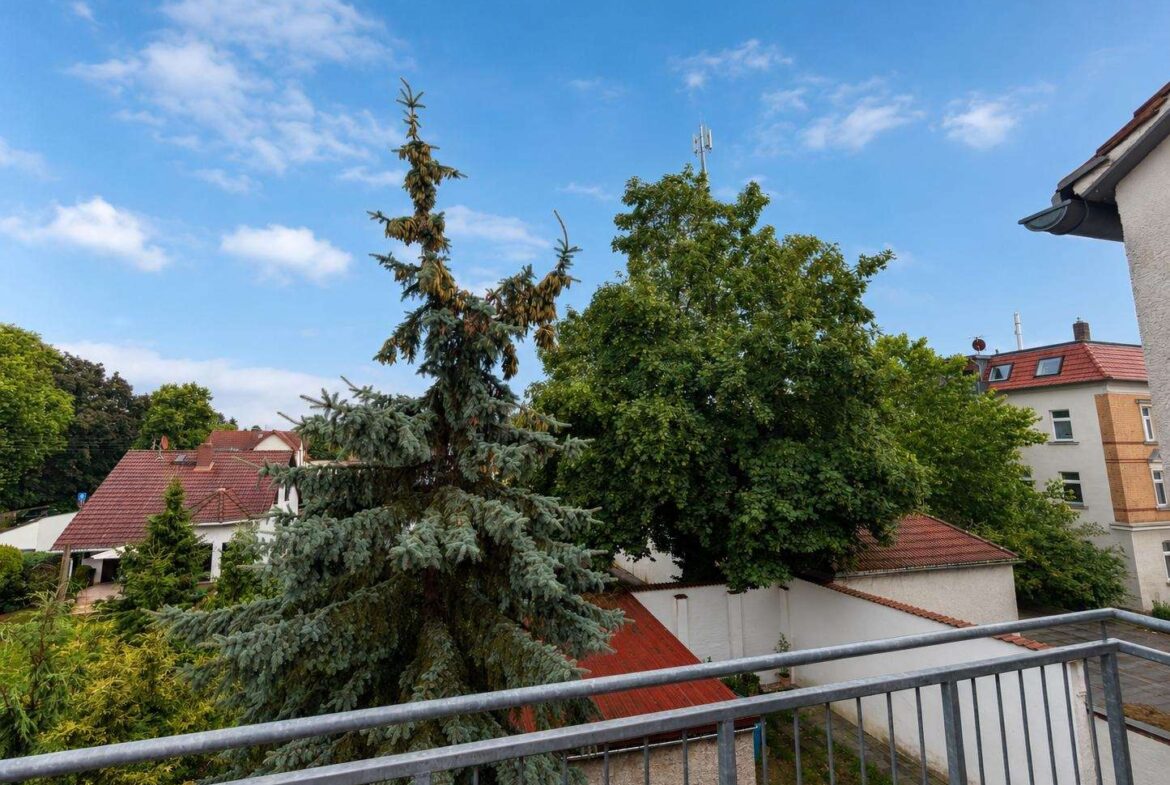 Blick ins Grüne