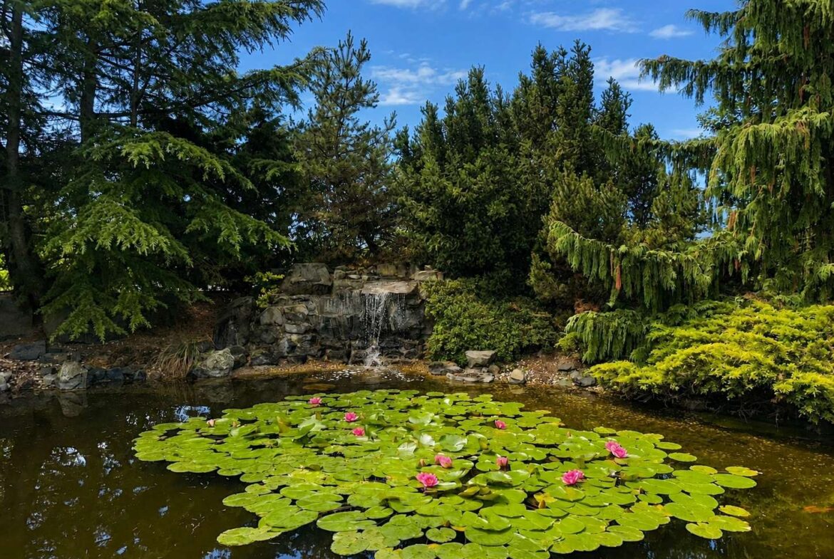 Teich mit Wasserfall