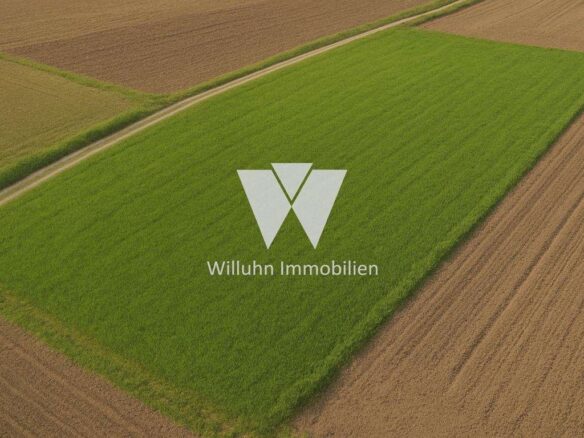 Refenrezbild Wiese