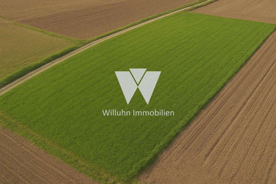 Refenrezbild Wiese