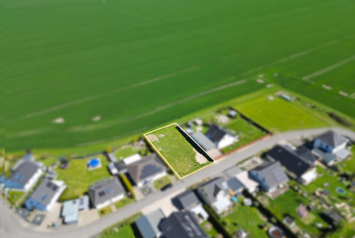 Feldlage