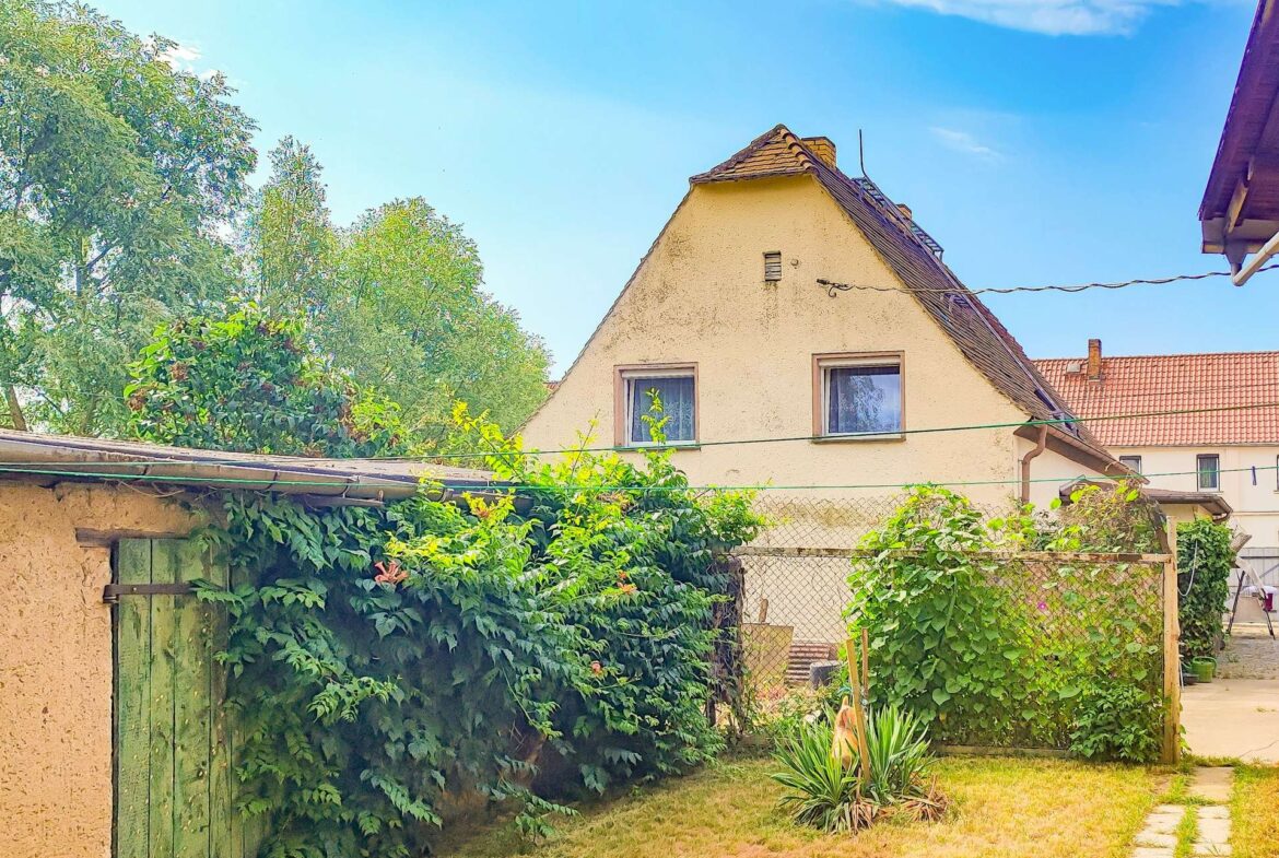 Blick vom Garten