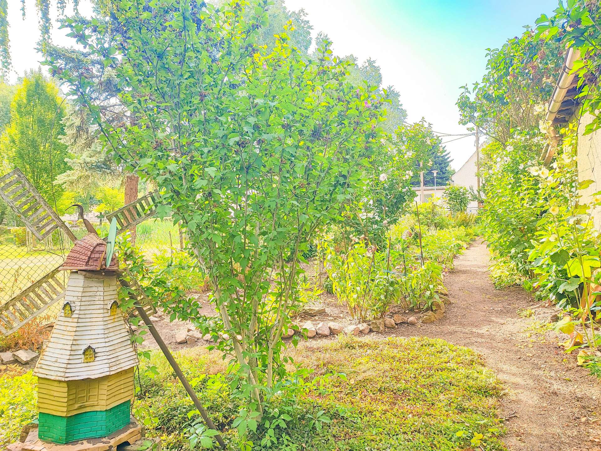 Garten