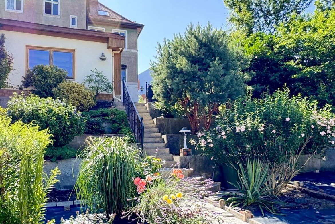 A multi-level garden with stone steps and a cream house, lush plants and flowering bushes along a sunny path.