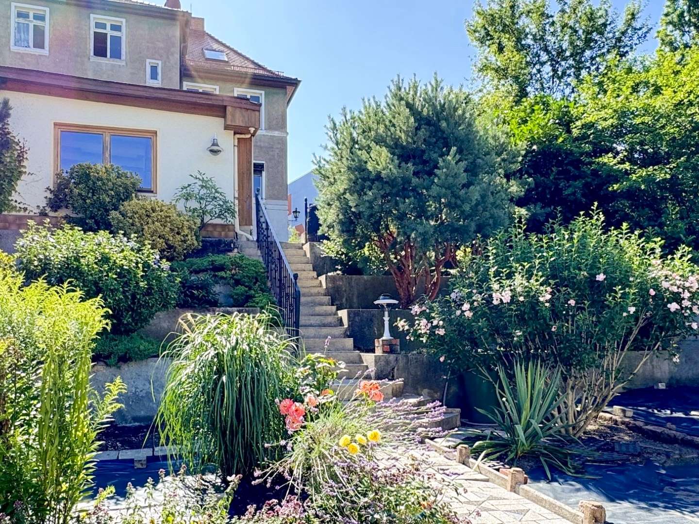 A multi-level garden with stone steps and a cream house, lush plants and flowering bushes along a sunny path.