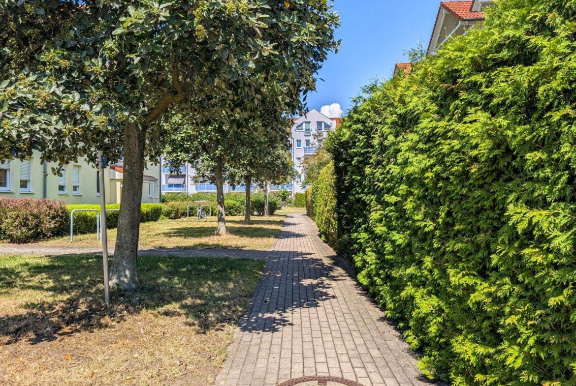 Sunlit residential path lined with trees and a tall green hedge, brick sidewalk leading to a building in the distance.