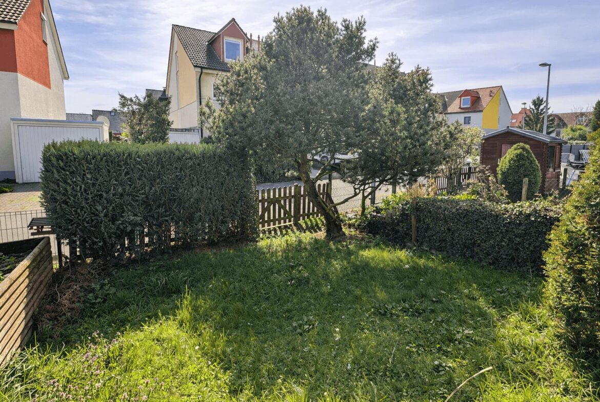 Small backyard with a tall hedge along a wooden fence, a central tree, and an overgrown lawn; houses and a shed are in the background.