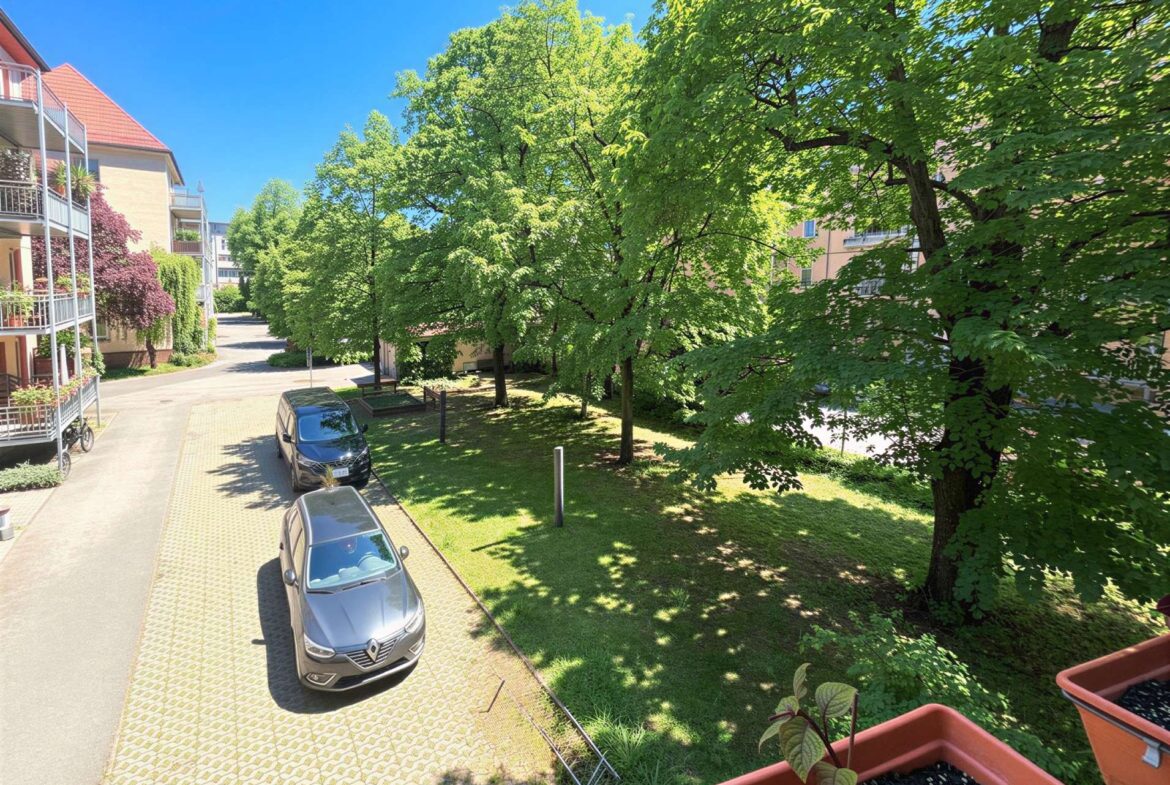 Sunny residential street with parked cars along a brick-paved road, balconies on the left, and lush green trees lining the area under a clear blue sky.