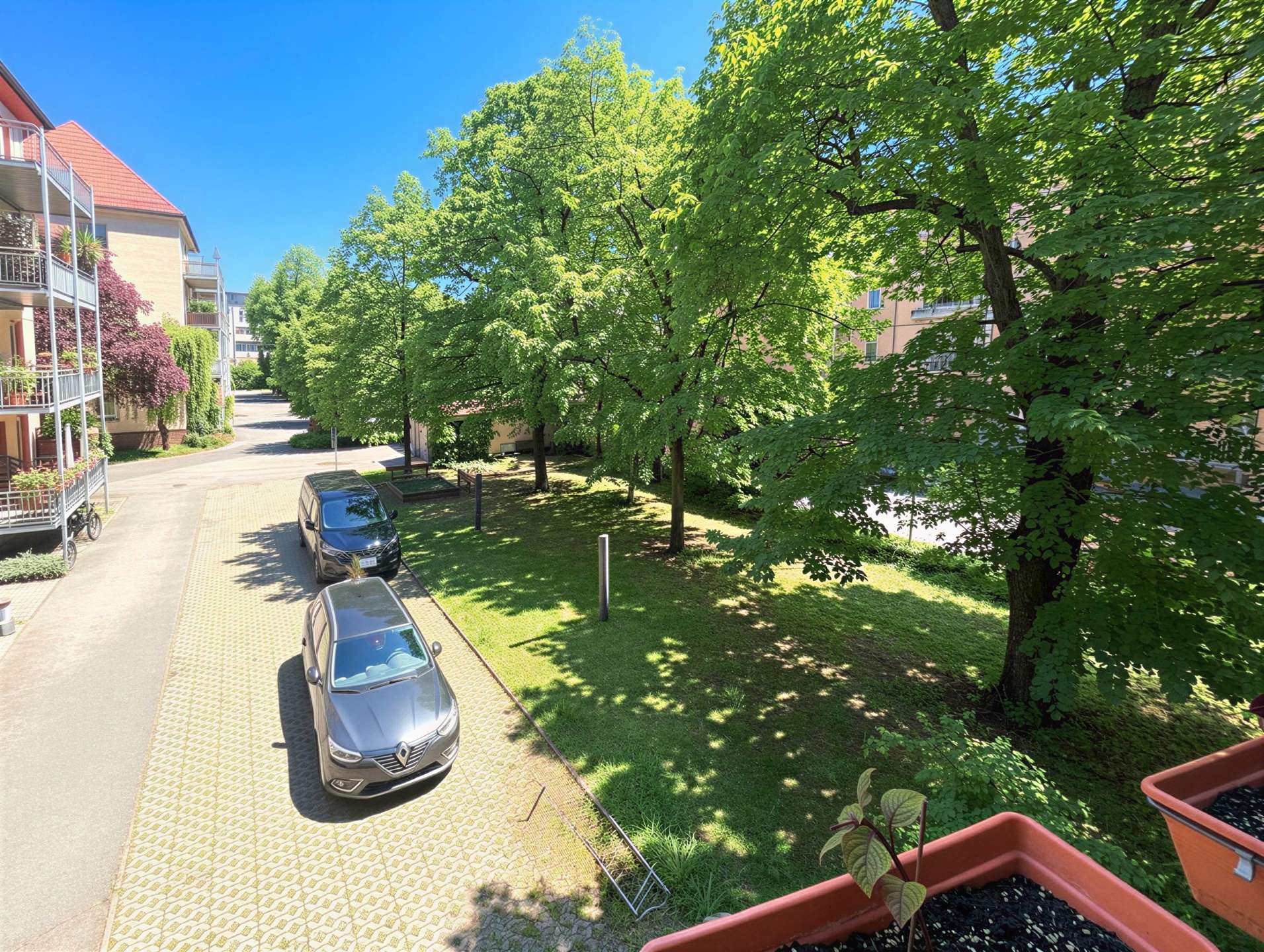 Sunny residential street with parked cars along a brick-paved road, balconies on the left, and lush green trees lining the area under a clear blue sky.