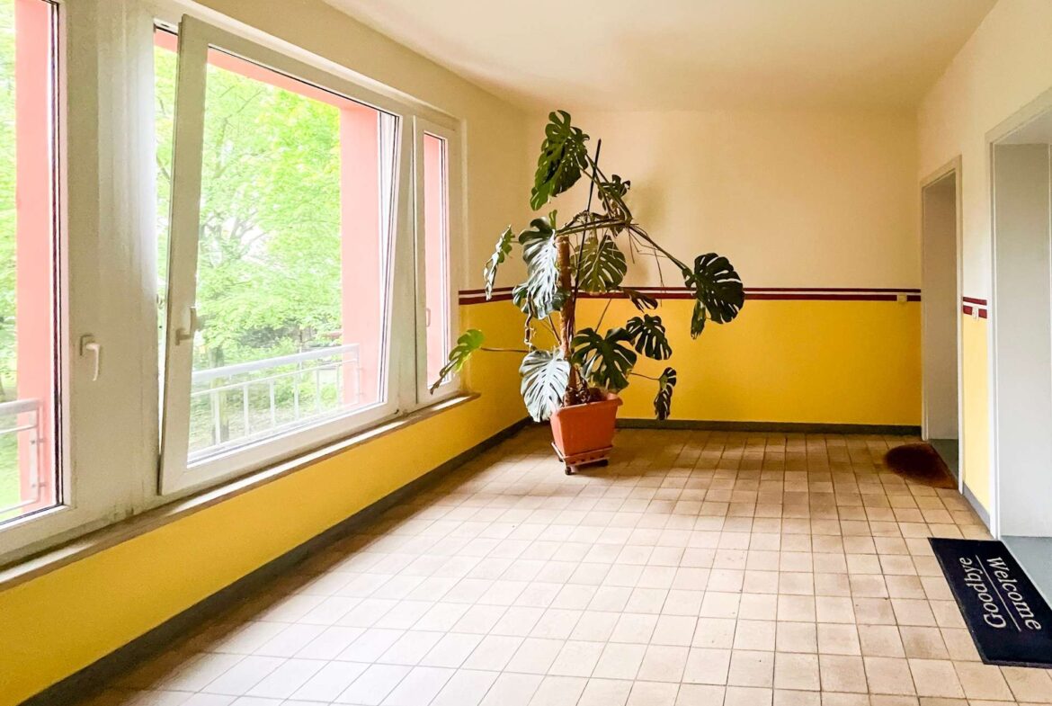 Bright indoor hallway with a tall Monstera plant in a pot near large windows on the left and a yellow lower wall with a dark trim outside light spilling in.